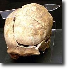 Lebka ze 12. století